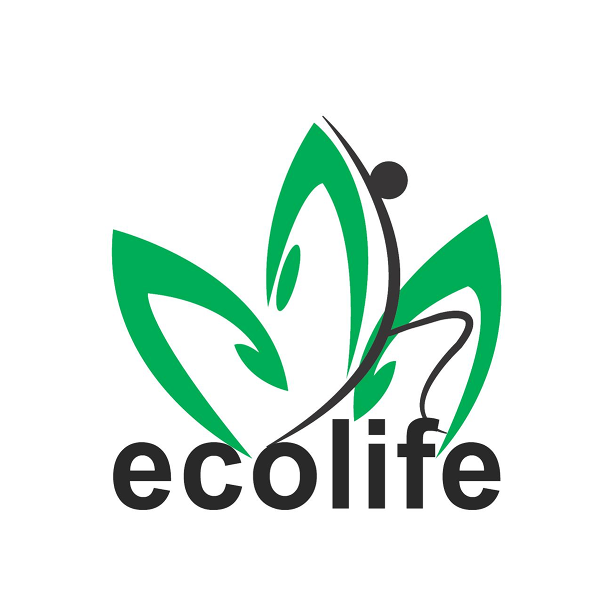 LMS SOLUTIONS IN KERALA